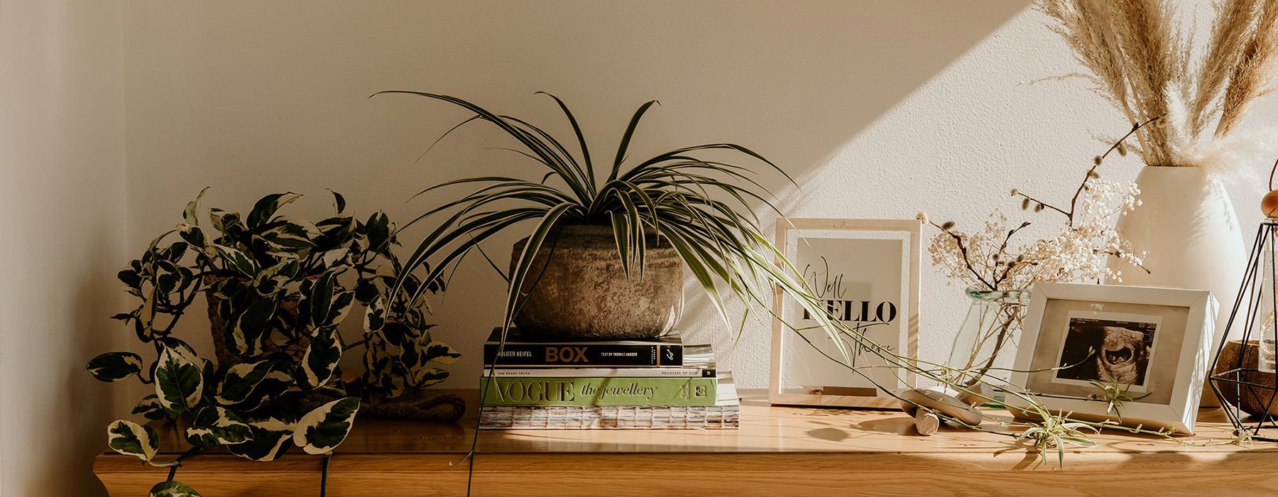 decor on a bookshelf with plants